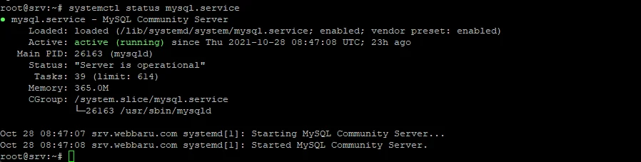 Cara Install MYSQL di Ubuntu 20.04 9